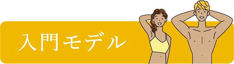 入門モデル